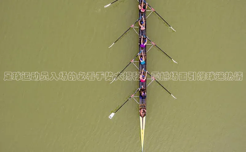 bv伟德官方网站金山办公足球运动员入场的必看手势大揭秘，震撼场面引爆球迷热情