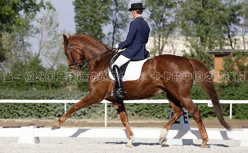 BETVLCTOR伟德官网下载1946百度学术当一位外国足球运动员来中国：卡卡的中国之旅详解