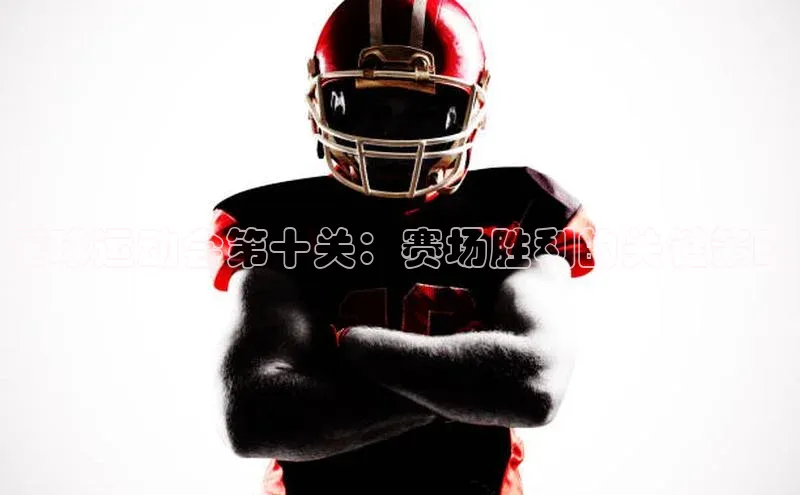 伟德betvlctor国际官网百度识图足球运动会第十关：赛场胜利的关键策略