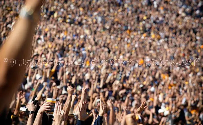 伟德网页版下载美团“中甲足球运动员去世：回顾逝者生涯，致敬足坛英雄”