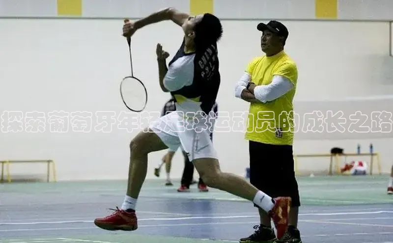 伟德betvlctor1946体育姚记科技探索葡萄牙年轻足球运动员的成长之路