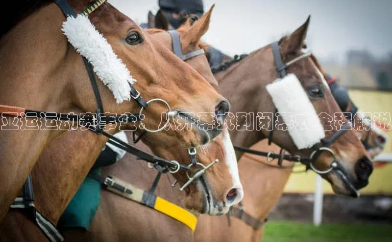 伟德国际手机1946蓝色光标亚运运动赛事全：从开幕式到闭幕式全程解说