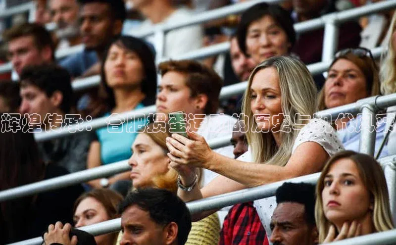 伟德国际官网登录入口百度游戏开放平台辉煌传承：合肥掼蛋运动的历史与现代风采