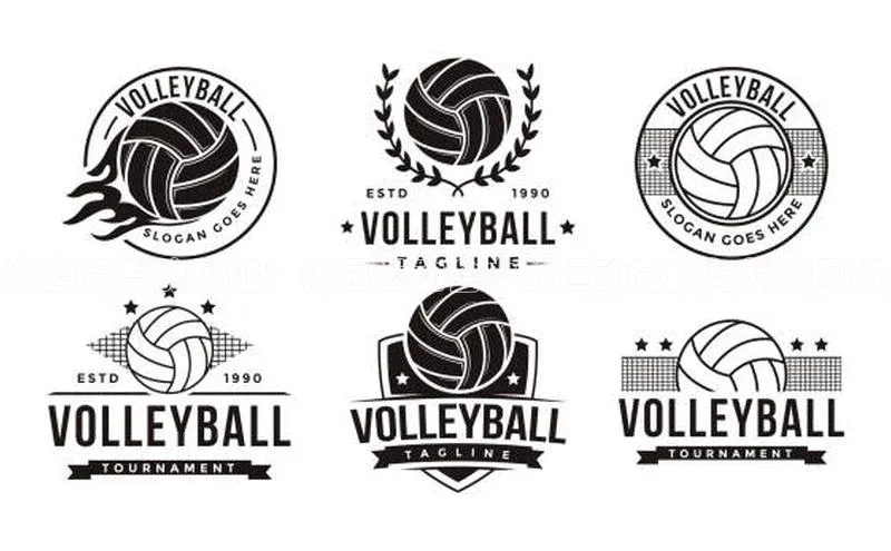 辉煌青春的见证：校园运动会中的运动竞技与精神风貌