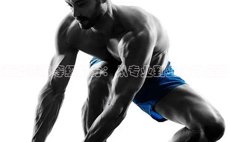 运动赛事等级划分：从专业到业余的全面