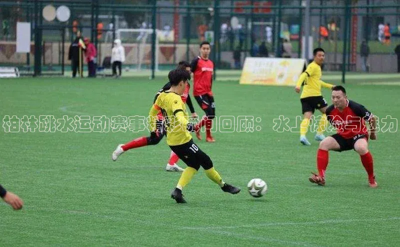 柏林跳水运动赛事精彩瞬间回顾：水上惊险与魅力