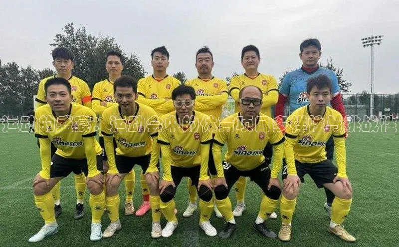 运动的盛宴：运动会中的体育项目多样性与挑战性