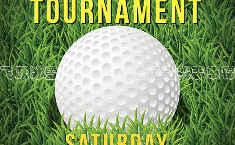 飞跃冰雪之巅：冬奥会运动赛事集锦