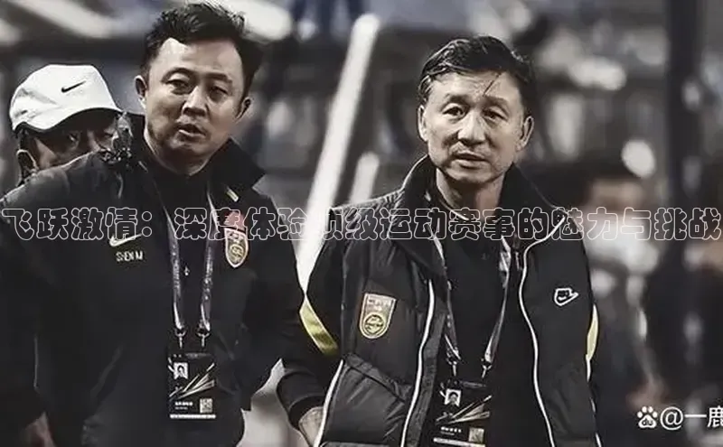 飞跃激情：深度体验顶级运动赛事的魅力与挑战