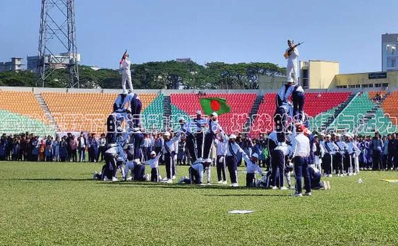 全球视野下的运动赛事：地球的韵律与活力