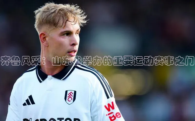 齐鲁风采：山东省举办的重要运动赛事之门