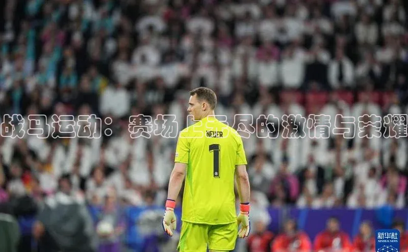 战马运动：赛场上无尽的激情与荣耀