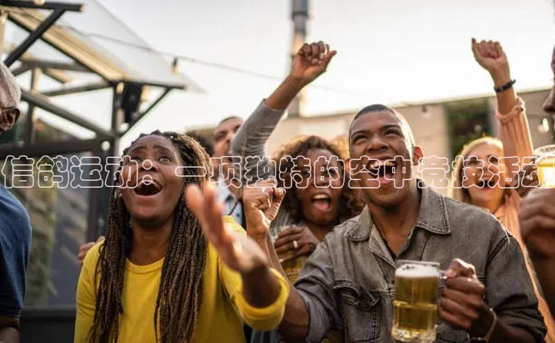 信鸽运动：一项独特的空中竞技活动