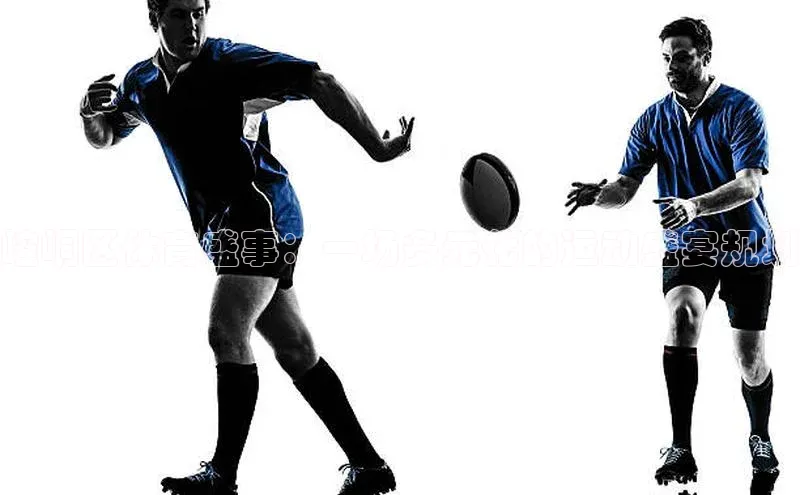 崆峒区体育盛事：一场多元化的运动盛宴规划