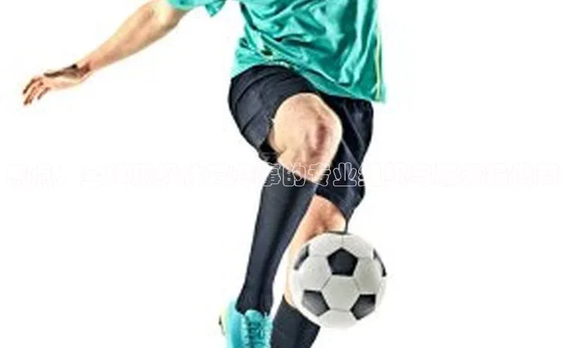 焦点：全球顶级体育赛事的专业组织与服务提供商