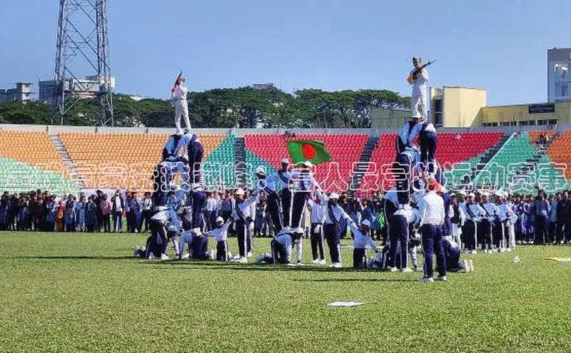 全球富豪竞技巅峰：富人最富的运动赛事