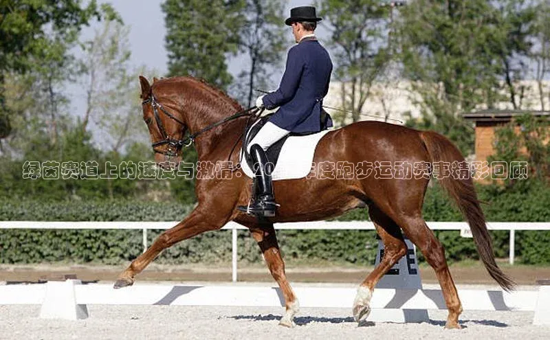 绿茵赛道上的速度与激情：2023年度跑步运动赛事精彩回顾