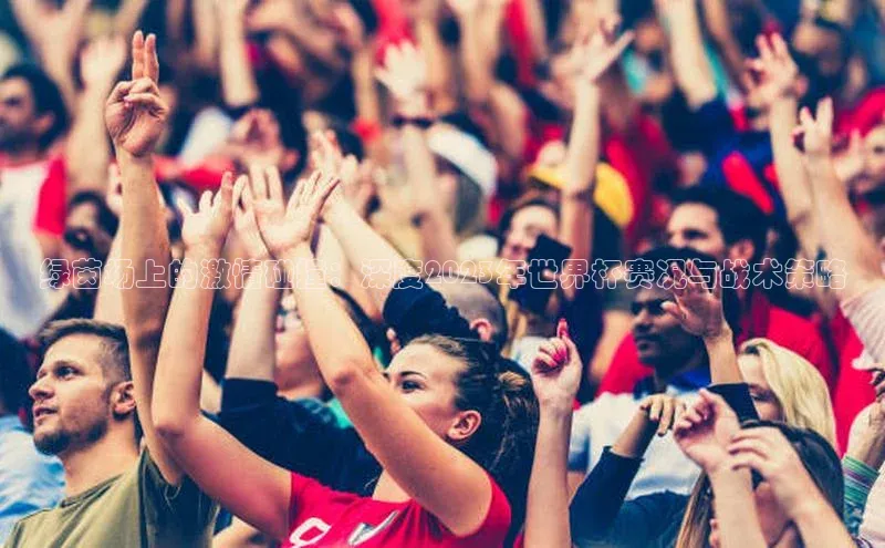 绿茵场上的激情碰撞：深度2023年世界杯赛况与战术策略