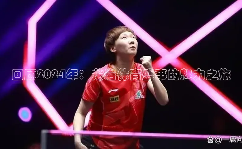 回顾2024年：龙岩体育盛事的魅力之旅