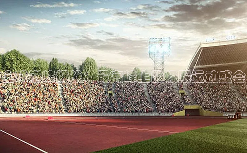 全球巅峰挑战：最高峰上的极限运动盛会