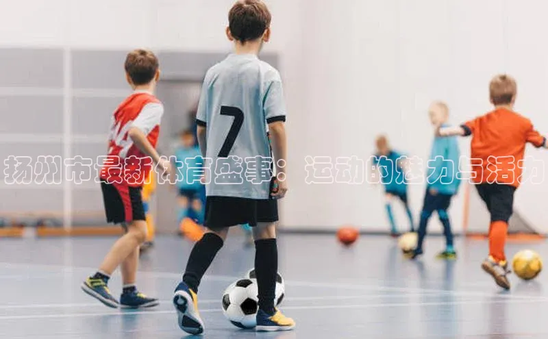 扬州市最新体育盛事：运动的魅力与活力