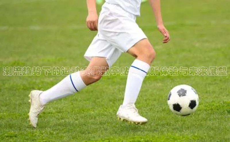 BETVLCTOR伟德入口